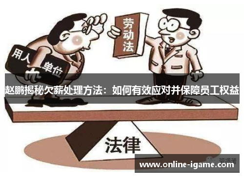赵鹏揭秘欠薪处理方法:如何有效应对并保障员工权益 赵鹏揭秘欠薪处理方法:如何有效应对并保障员工权益