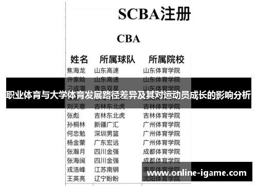 职业体育与大学体育发展路径差异及其对运动员成长的影响分析